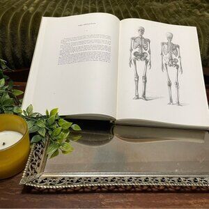 Anatomy for the Artist Vintage Antique Sketch Illustrations Coffee Table Book